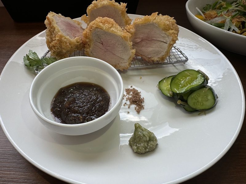 ソースときゅうりの漬物、サラダを添えたヒレカツの皿