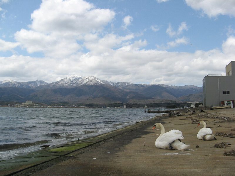 加茂湖の岸辺と、雪の残る金北山の山並み
